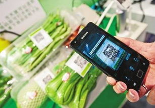 食品信息追溯系統 構建透明供應鏈，賦能消費選擇